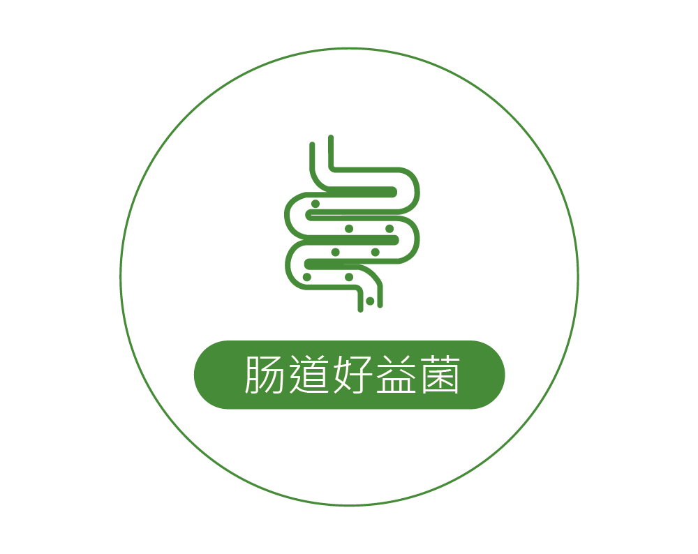 icon-簡_工作區域 1 複本.png